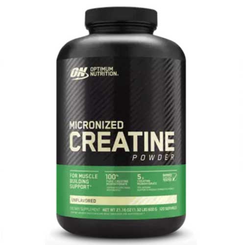 ON MICRONIZED CREATINE 600g 120 SERVICIOS